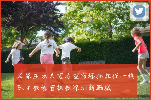 石家庄功夫官方宣布塔托担任一线队主教练曾执教深圳新鹏城