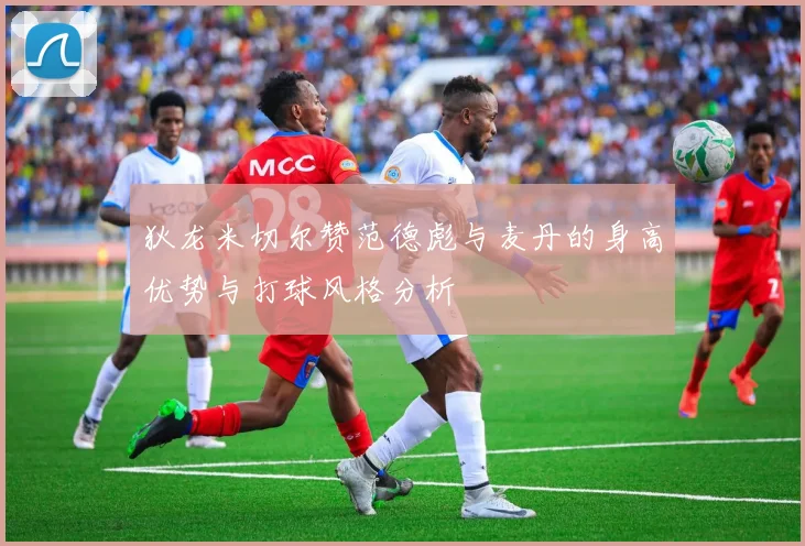 狄龙米切尔赞范德彪与麦丹的身高优势与打球风格分析