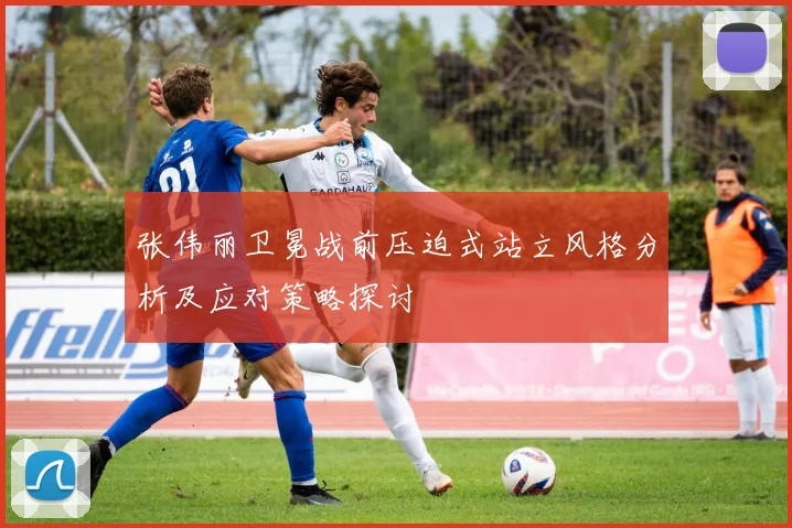 张伟丽卫冕战前压迫式站立风格分析及应对策略探讨